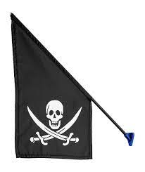 Pirátská vlajka 